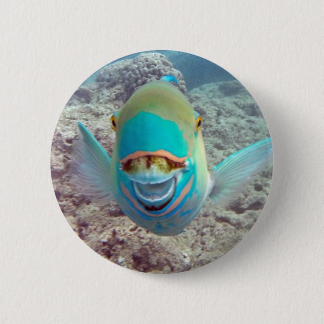 Hawaii Parrot Fish Button (Front)