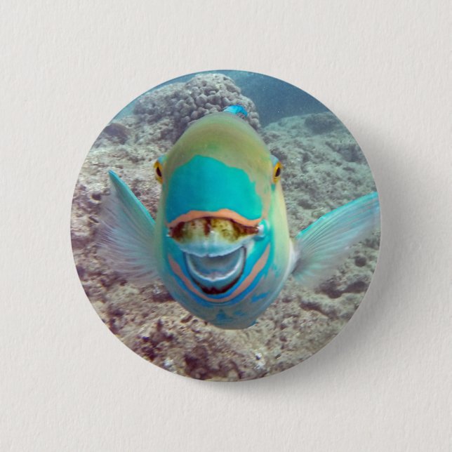 Hawaii Parrot Fish Button (Front)