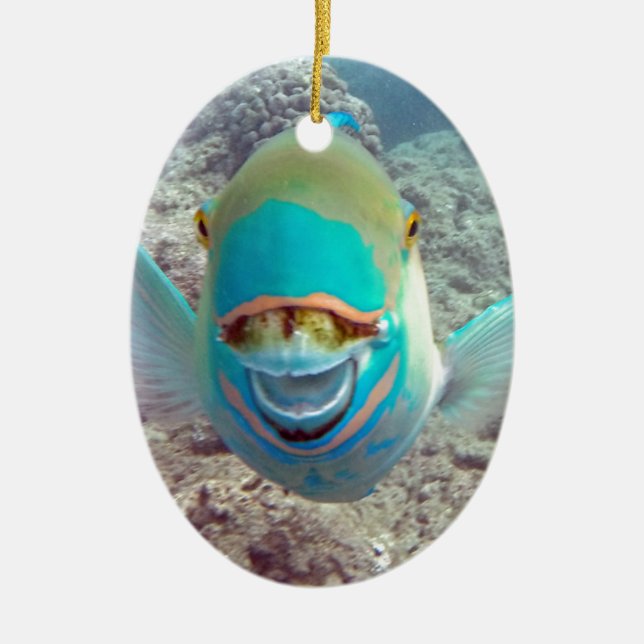 Hawaii Parrot Fish Ceramic Ornament (Front)