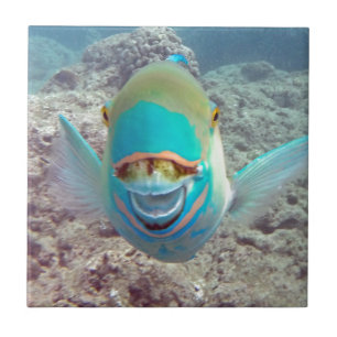 Hawaii Parrot Fish Ceramic Tile