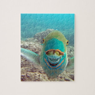 Hawaii Parrot Fish - Uhu Jigsaw Puzzle