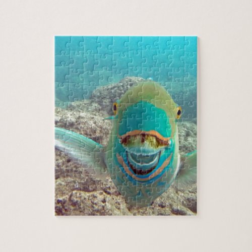 Hawaii Parrot Fish _ Uhu Jigsaw Puzzle