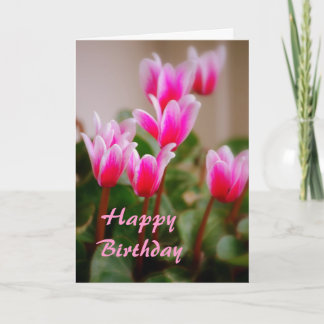 Hawaii Pink Cyclamen Flowers, Birthday Card
