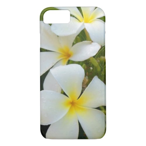 Hawaii Plumeria iPhone 87 Case