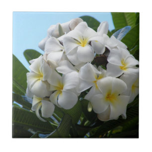 Hawaii Plumeria Ceramic Tile