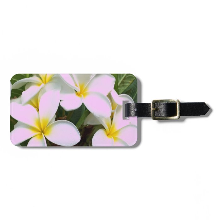 Hawaii Plumeria Flowers Luggage Tags