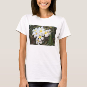 Hawaii, Plumeria, White Flowers on Women's T-Shirt