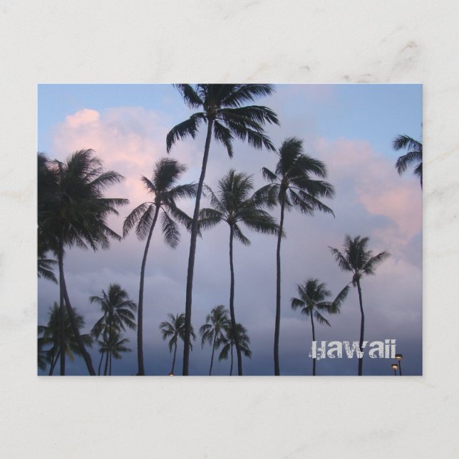 Hawaii Postcard (Front)