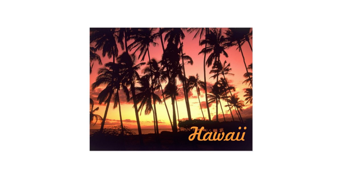 Hawaii Postcard | Zazzle.com