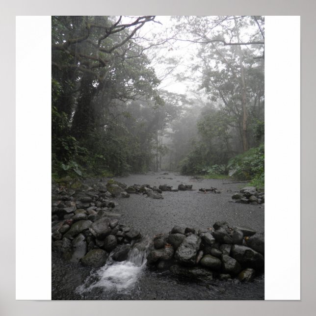 Hawaii Rain Poster (Front)