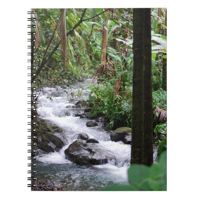 Hawaii Rainforest Notebook (Front)