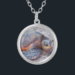 Hawaii Sea Turtle Honu Photo Simple Bold Modern Silver Plated Necklace<br><div class="desc">Sea turtles certainly know how to relax in the sun. Drift back to the warm breezes of the Hawaiian Islands whenever you wear this cute, stylish, photo charm necklace of a close up of a Hawaiian “honu” sea turtle. This necklace comes in small, medium and large sizes, as well as...</div>
