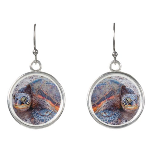 Hawaii Sea Turtle Honu Photo Simple Modern Bold Earrings