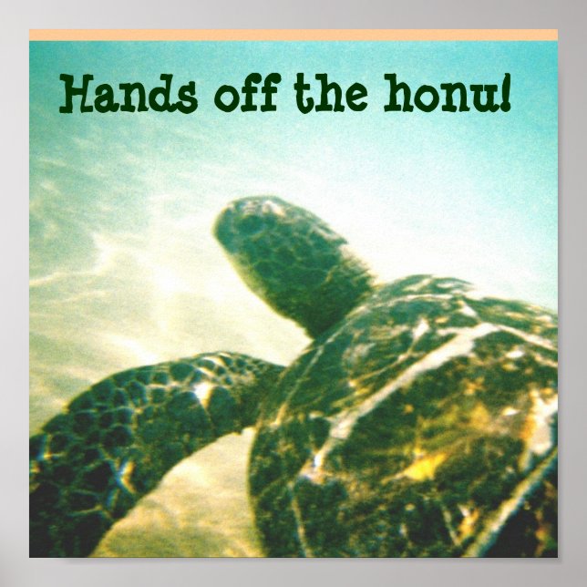 Hawaii Sea Turtle Protection Poster (Front)