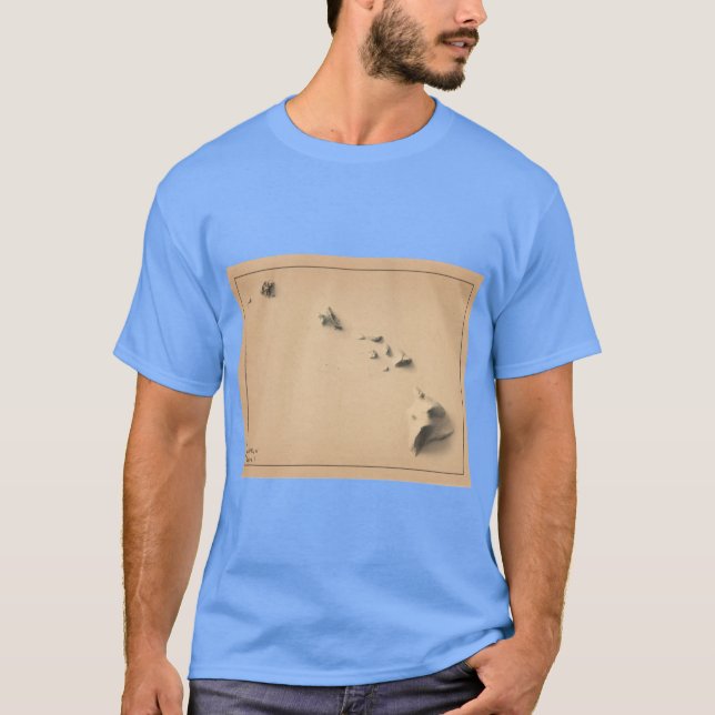 Hawaii Shaded Relief Map 3D digitallyrendered Over T-Shirt (Front)