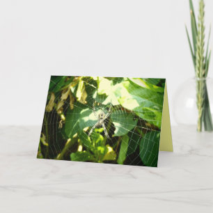 Hawaii spider web greeting card