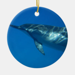 Hawaii Spinner Dolphin Ceramic Ornament
