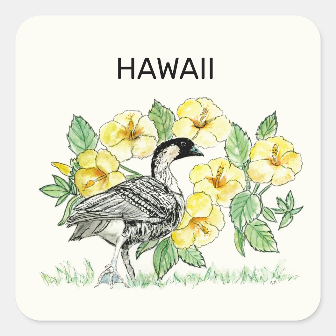 Hawaii State Bird and Flower Square Sticker | Zazzle