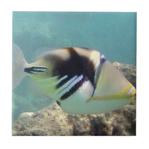Hawaii State Fish - Humuhumunukunukuapua'a Ceramic Tile