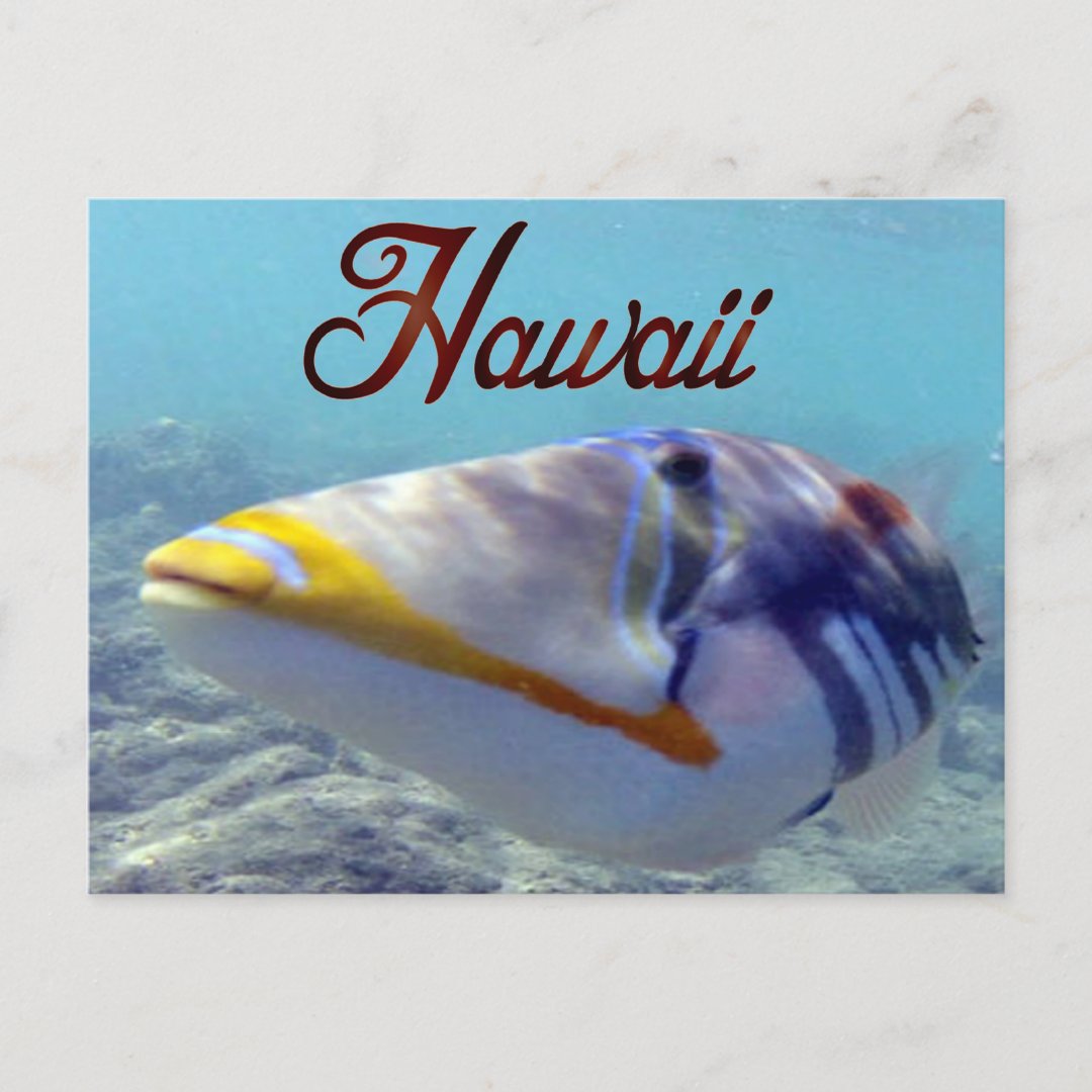 Hawaii State Fish - Humuhumunukunukuapua'a Postcard | Zazzle