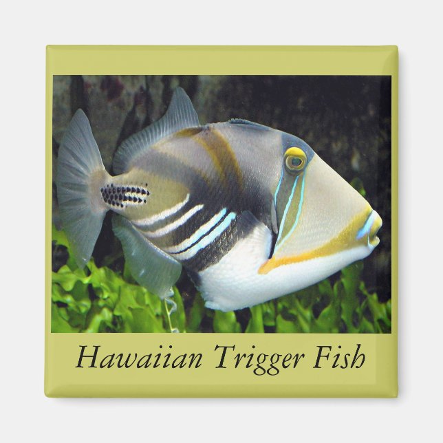 Hawaii state fish magnet (Front)