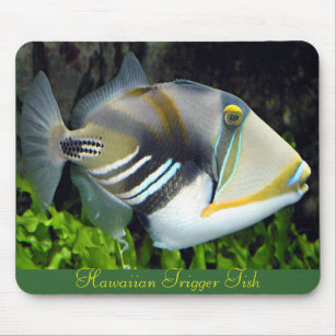 Hawaii state fish mouse pad