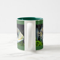 https://rlv.zcache.com/hawaii_state_fish_two_tone_coffee_mug-re9fd7205a64749c5936ea663eb6c3328_x7j5e_8byvr_200.jpg