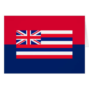 Hawaii State Flag Design