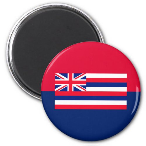 Hawaii State Flag Design Decor Magnet
