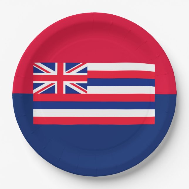 Hawaii State Flag Design Paper Plates (Front)
