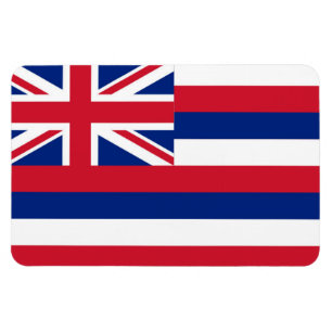 Hawaii state flag magnet