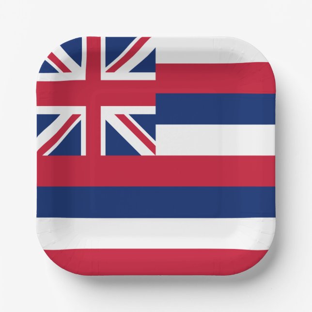 Hawaii State Flag Paper Plates (Front)
