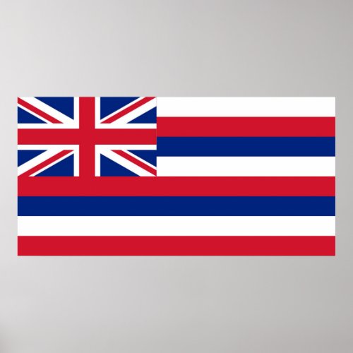 Hawaii State flag Poster