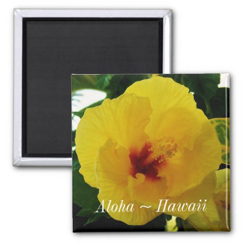 Hawaii State Flower Yellow Hibiscus Magnet
