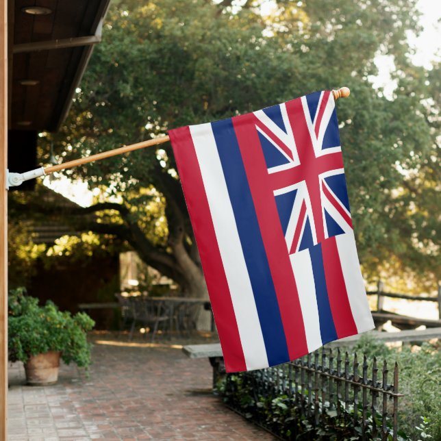 Hawaii State House Flag (In SItu)