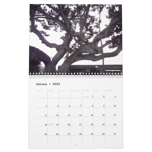 Hawaii The Big Island Calendar (Jan 2026)
