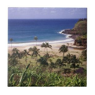 Hawaii Tile