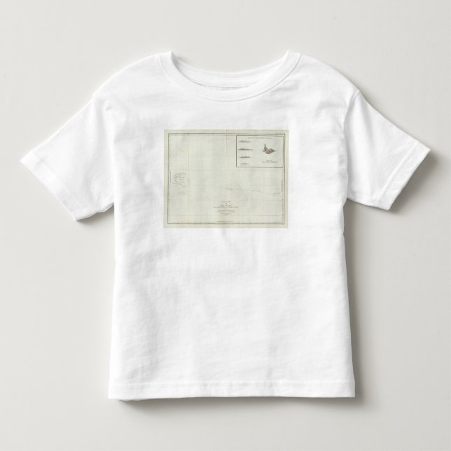 Hawaii Toddler T-shirt (Front)