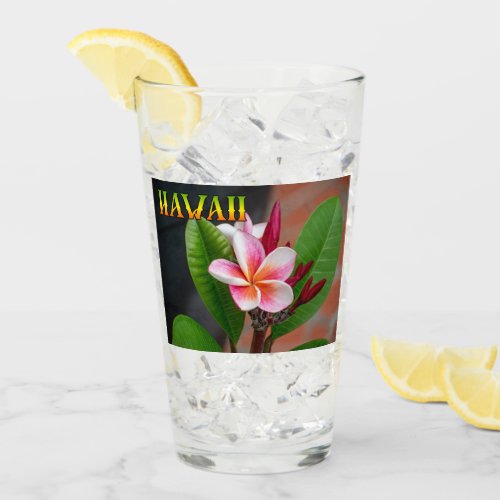 Hawaii Travel  Pint Glass