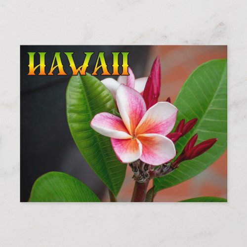  Hawaii  Travel Postcard 
