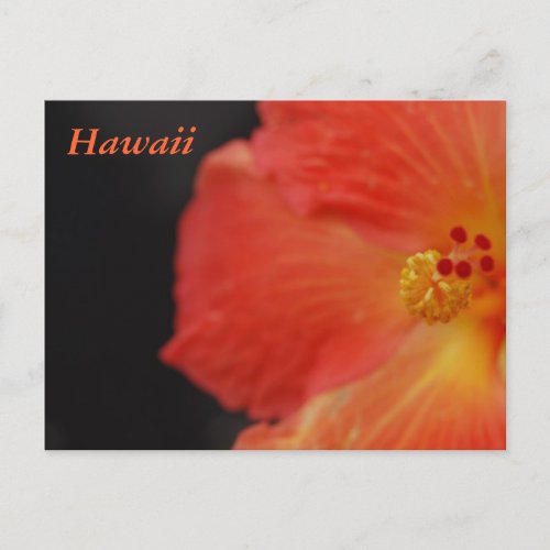 Hawaii Tropical Flower Postcard