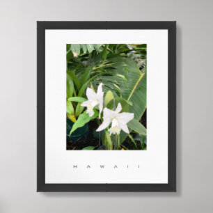 Hawaii Tropical Flower Travel Photography Poster
