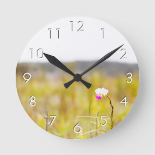 Hawaii Tropical Orchid Volcanoes National Park Round Clock