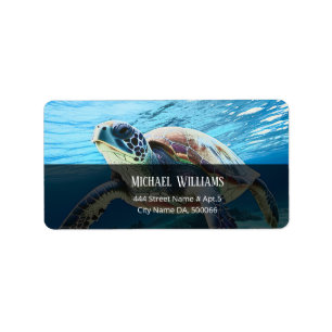 Hawaii Turtle Honu Label