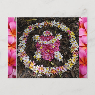 Hawaii Turtle Honu Plumeria Summer Flower Paradise Postcard