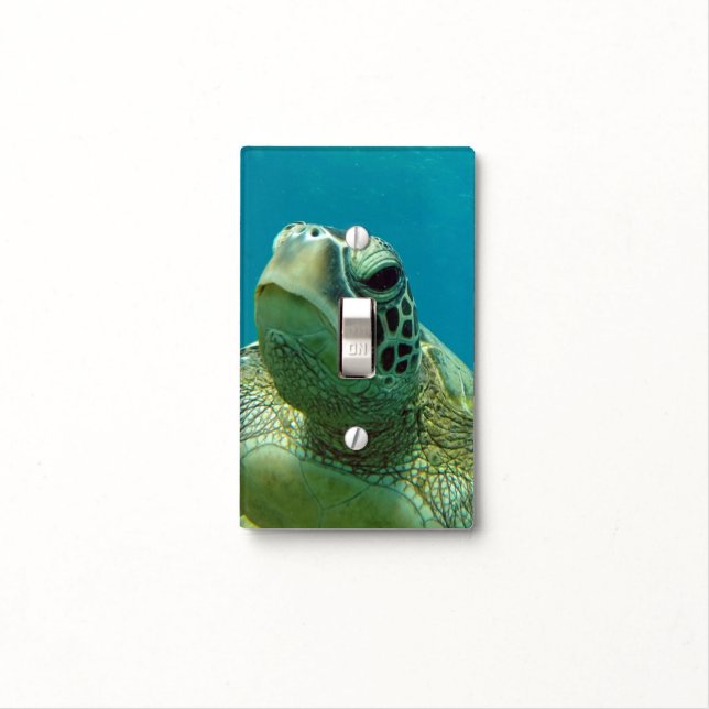 Hawaii Turtle Light Switch Cover (In Situ)