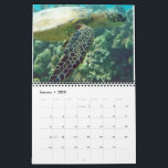 Hawaii Turtles Calendar<br><div class="desc">🌴 Hawaii Turtle Calendar – A Year of Tropical Paradise! 🐢 Bring the beauty of Hawaii into your home all year long with our stunning Hawaii Turtle Calendar! Featuring vibrant images of the Honu (Hawaiian sea turtle) in their natural habitat, each month transports you to the serene beaches and crystal-clear...</div>