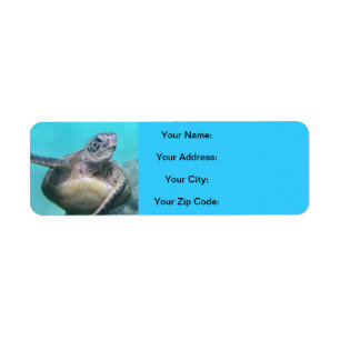 Hawaii Turtles - Honu Label