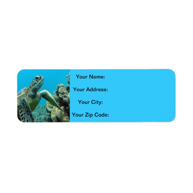 Hawaii Turtles Label (Front)