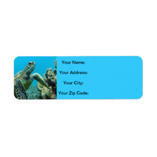 Hawaii Turtles Label